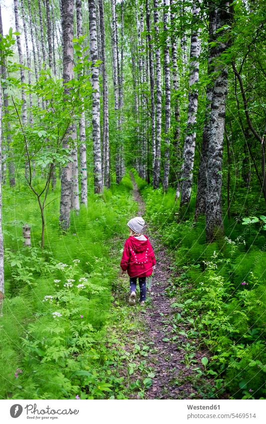 Finnland, Kuopio, Mädchen zu Fuß in einem Birkenwald weiblich gehen gehend geht Kind Kinder Kids Mensch Menschen Leute People Personen Natur Freizeitaktivität