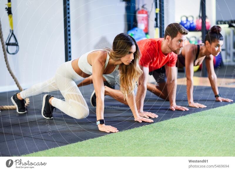 Junge Leute beim Üben von Plank-Variationen in einer Turnhalle Sportlerin Sportlerinnen Spanien Ausrichtung Aufstellung Haltung Workout Gesunder Lebensstil