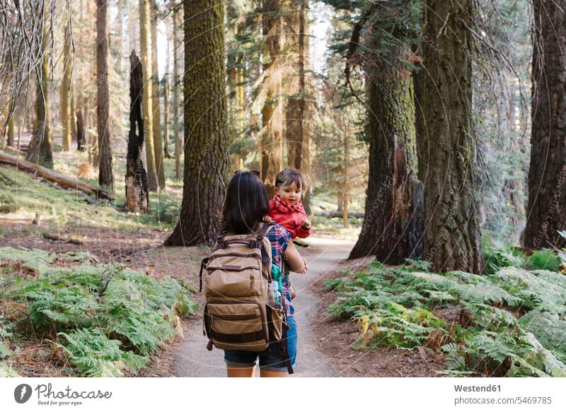 Mutter hält ein kleines Mädchen im Wald im Sequoia-Nationalpark, Kalifornien, USA Leute Menschen People Person Personen Europäisch Kaukasier kaukasisch 2