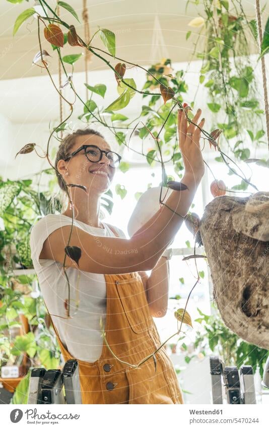 Lächelnde junge Frau, die sich in einem kleinen Laden um Pflanzen kümmert Job Berufe Berufstätigkeit Beschäftigung Jobs Brillen Arbeit anfassen Berührung freuen