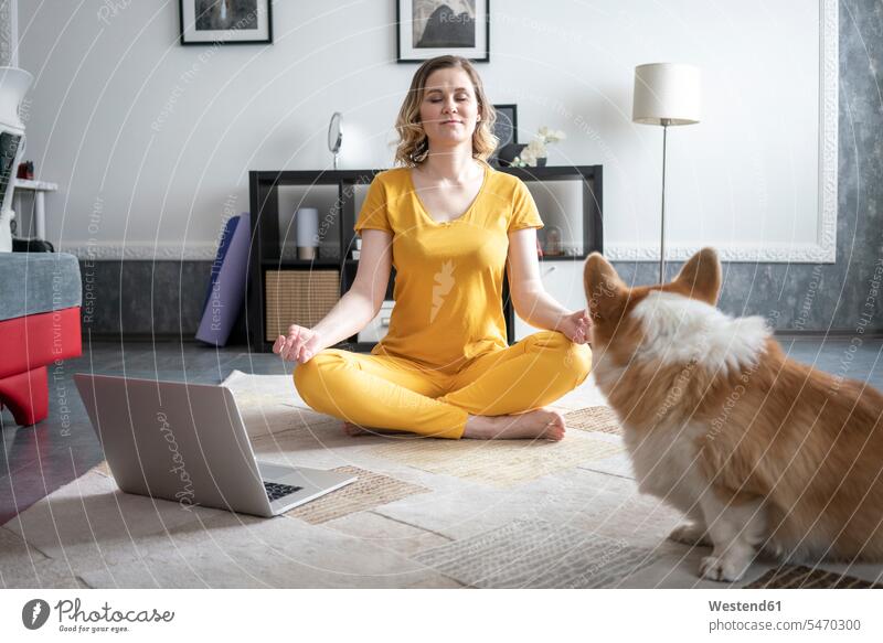 Frau mit Hund übt zu Hause im Wohnzimmer Yoga Tiere Tierwelt Haustiere Hunde T-Shirts Rechner Laptops Notebook Notebooks Teppiche sitzend sitzt ausüben