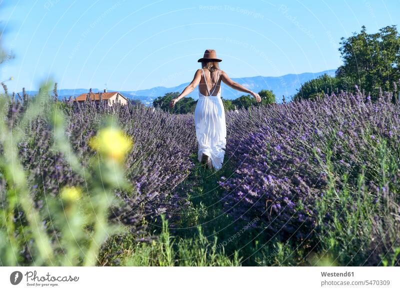 Frau in weißem Kleid und Hut geht inmitten eines Lavendelfeldes vor klarem Himmel Farbaufnahme Farbe Farbfoto Farbphoto Spanien Freizeitbeschäftigung Muße Zeit