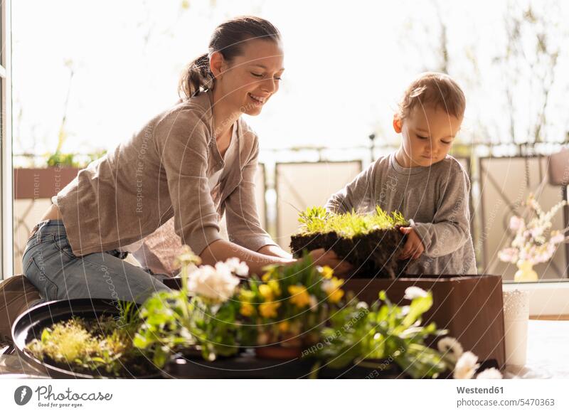 Mutter und Tochter pflanzen Blumen zusammen auf dem Balkon Deutschland Natur lehren unterrichten beibringen ein Elternteil Blumenkasten Blumenkaesten