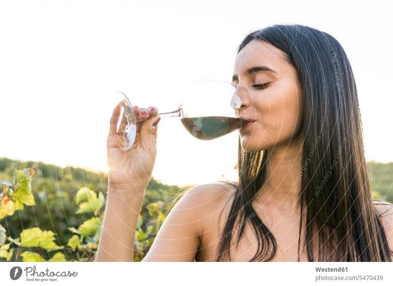 Italien, Toskana, Siena, junge Frau trinkt Rotwein in einem Weinberg bei Sonnenuntergang Rotweine weiblich Frauen Sonnenuntergänge Weingaerten Weingarten