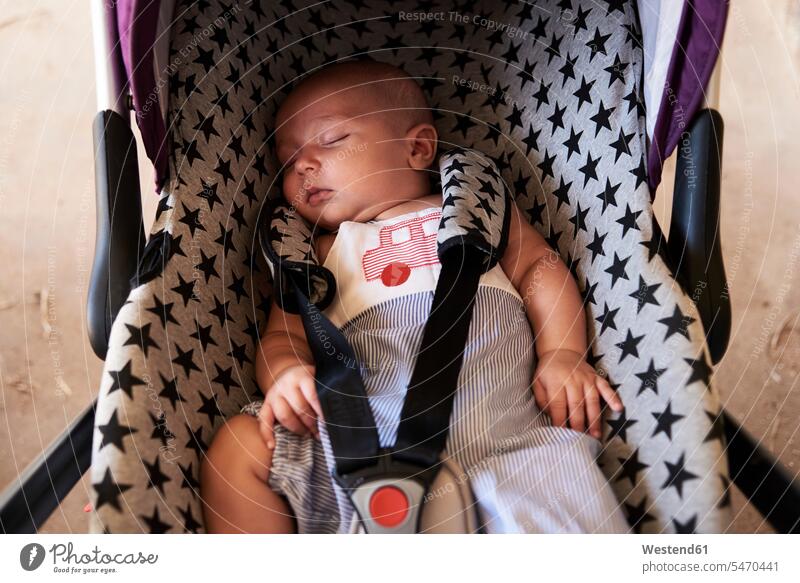 Porträt eines kleinen Jungen, der in einem Kindersitz schläft Portrait Porträts Portraits Buben Knabe Knaben männlich Kleinkinder Kindergartenalter