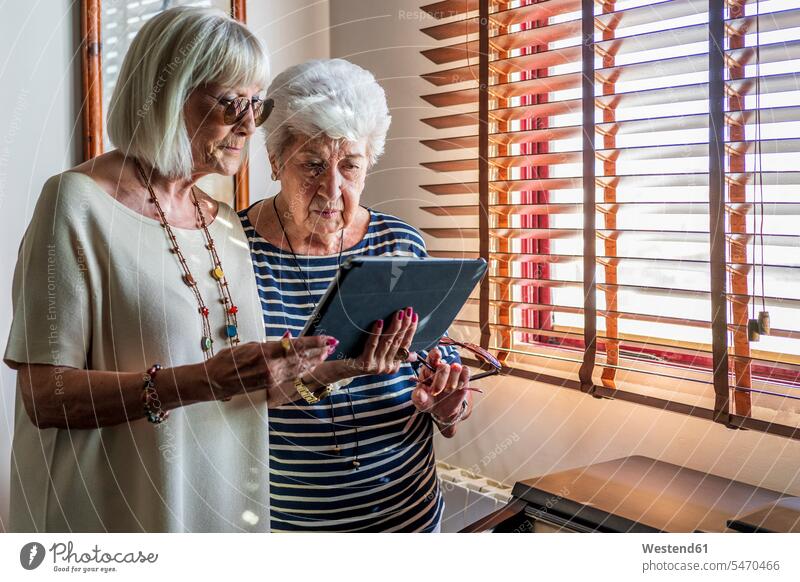 Ältere Freundinnen benutzen zu Hause ein digitales Tablett am Fenster Farbaufnahme Farbe Farbfoto Farbphoto Spanien Freizeitbeschäftigung Muße Zeit Zeit haben