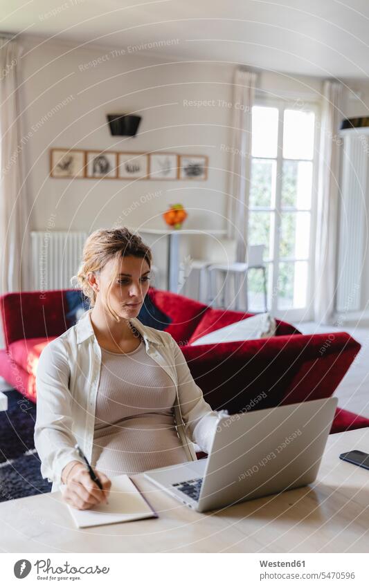 Weibliche Freiberuflerin, die in ein Buch schreibt, während sie einen Laptop am Schreibtisch im Wohnzimmer benutzt Farbaufnahme Farbe Farbfoto Farbphoto