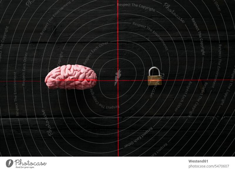 Künstliche Intelligenz, verschlüsseltes Gehirn Laser Lichtstrahl Strahlen rote Linie rote Linien Vermessung vermessen abmessen Überwachung ueberwachen bewachen