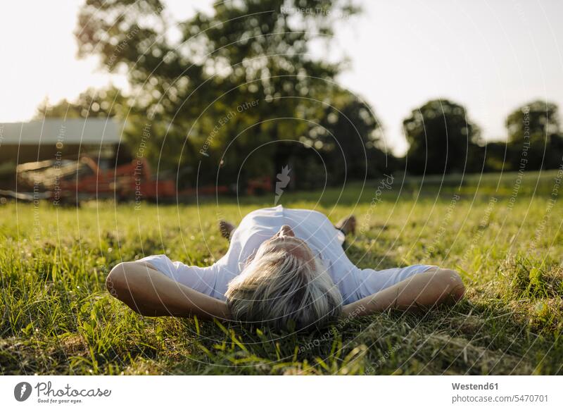 Mann mit Händen hinter dem Kopf auf dem Gras im Hof liegend Farbaufnahme Farbe Farbfoto Farbphoto Ganzkörperansicht Ganzansicht Ganzkörperaufnahme Ganzaufnahme