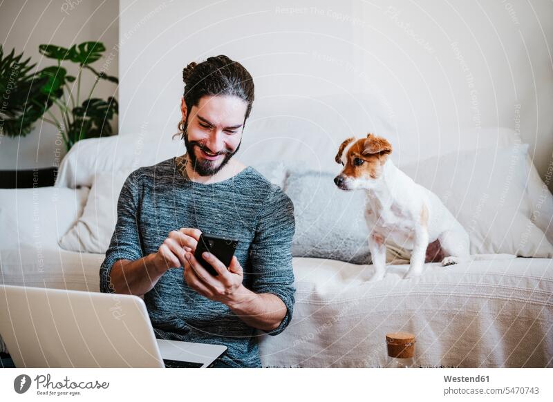 Mann mit Laptop, der ein Mobiltelefon benutzt, während er bei seinem Hund zu Hause sitzt Farbaufnahme Farbe Farbfoto Farbphoto Innenaufnahme Innenaufnahmen