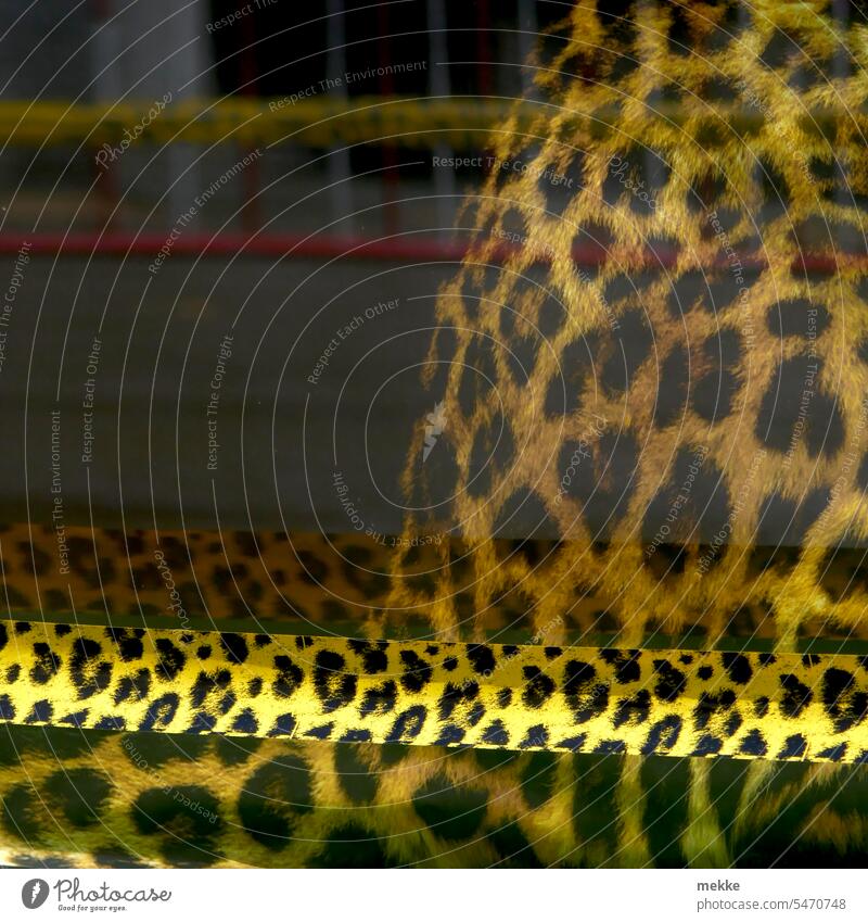 grenzwertig | nobles Leoparden Absperrband leopardenmuster leopardenfell Muster Absperrung Flatterband Barriere Schutz Sicherheit Spiegelung Baustelle Verbote