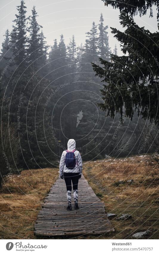 Bulgarien, Junger Yoman geht durch den Wald, Regenwetter gehen gehend wandern Wanderung Wanderin Wanderinnen unterwegs auf Achse in Bewegung Rückansicht