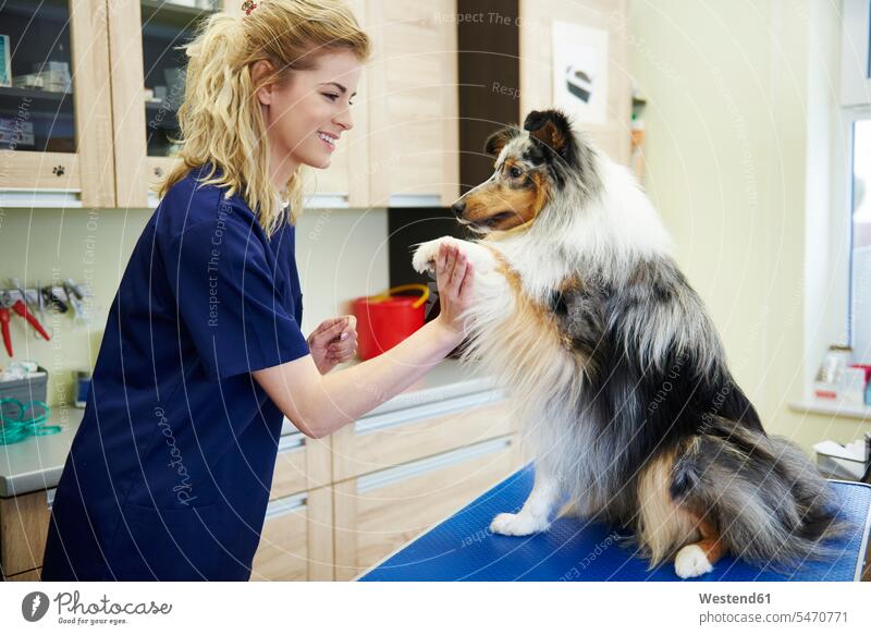 Hund gibt Pfote an Tierärztin in der Tierarztpraxis Tierärztinnen Veterinaerin Veterinärinnen Tieraerztinnen Veterinaerinnen Hunde Pfoten Tierarztpraxen