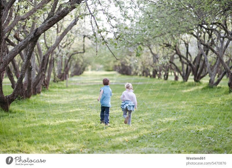 Rückenansicht eines kleinen Jungen und eines Mädchens, die nebeneinander auf einer Wiese laufen rennen Muße Miteinander Zusammen Bindung Gemeinschaft