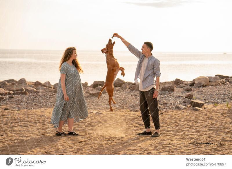 Junges Paar mit Hund am Strand, Hundespringen Tiere Tierwelt Haustiere Kleider abends freuen Glück glücklich sein glücklichsein zufrieden Muße Miteinander
