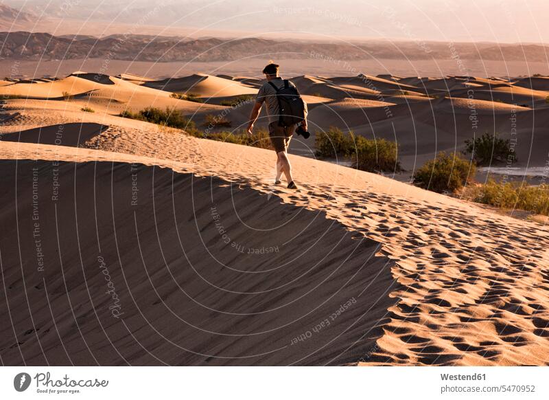 USA, Kalifornien, Death Valley, Death Valley National Park, Mesquite Flat Sand Dunes, Mann läuft auf Düne Wanderer Abenteuer abenteuerlich Männer männlich