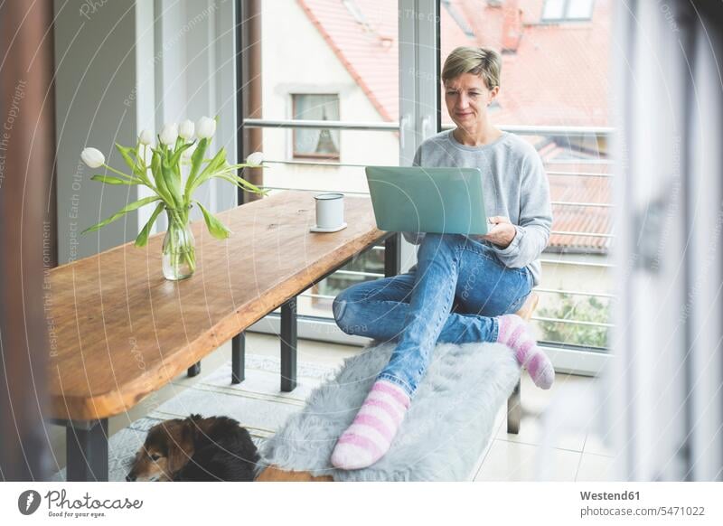 Reife Frau, die von zu Hause aus arbeitet, einen Laptop benutzt und auf einer Bank sitzt Job Berufe Berufstätigkeit Beschäftigung Jobs Bänke Sitzbank Sitzbänke
