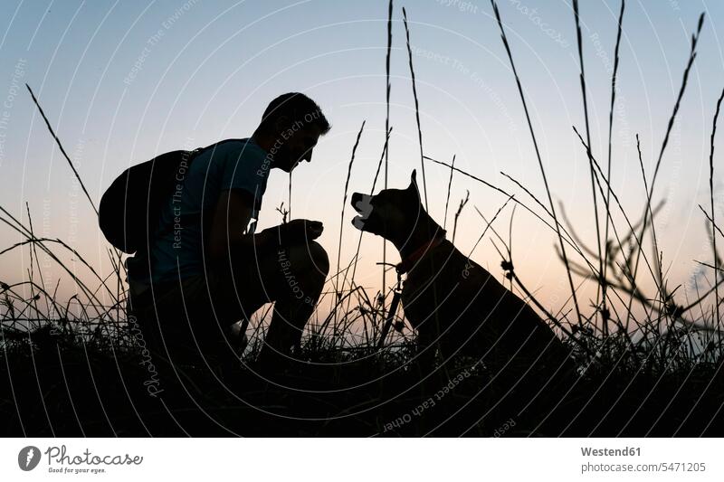 Scherenschnittmensch mit seinem Hund im Morgengrauen auf Grasfeld Farbaufnahme Farbe Farbfoto Farbphoto Außenaufnahme außen draußen im Freien ein Tier