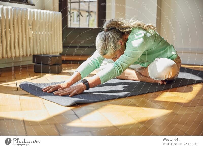 Frau übt auf einer Übungsmatte über dem Boden im Wohnzimmer Deutschland Innenaufnahme Innenaufnahmen innen drinnen Tag Tageslichtaufnahme Tageslichtaufnahmen