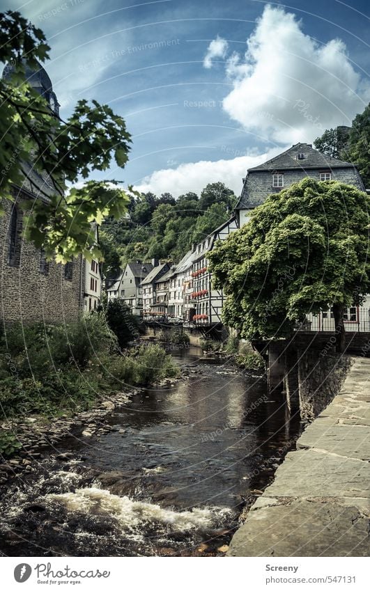 Städchenidyll Tourismus Ausflug Städtereise Bach Fluss Monschau Kleinstadt Altstadt Haus Kirche Fachwerkfassade Fachwerkhaus Sehenswürdigkeit entdecken Erholung