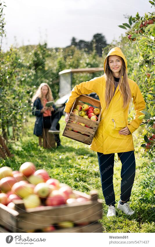 Zwei Frauen ernten Äpfel im Obstgarten Apfel Aepfel weiblich Ernte Obstplantage Obstplantagen Früchte Essen Food Food and Drink Lebensmittel Essen und Trinken