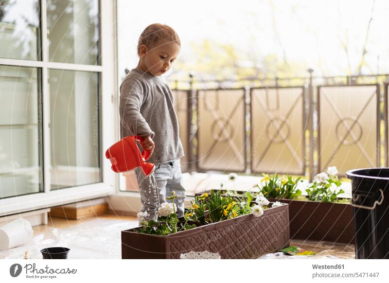 Cutle kleines Mädchen Bewässerung Blumen zu Hause Fenster pflanzen anpflanzen Pflanzensetzen Textfreiraum gießen giessen Naturverbundenheit naturverbunden
