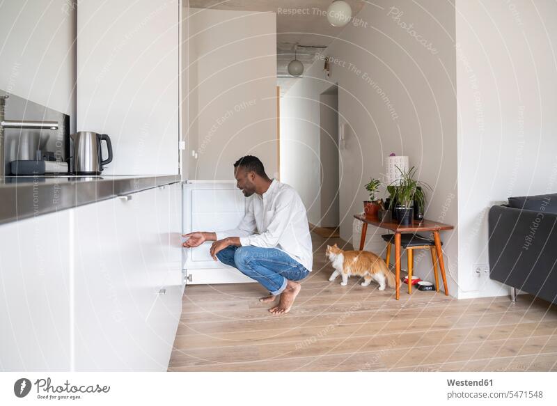 Mann kauert in der Küche und schaut in den Gefrierschrank Tiere Tierwelt Haustiere Katzen Couch Couches Liege Sofas daheim zu Hause Muße Lifestyles Lofts