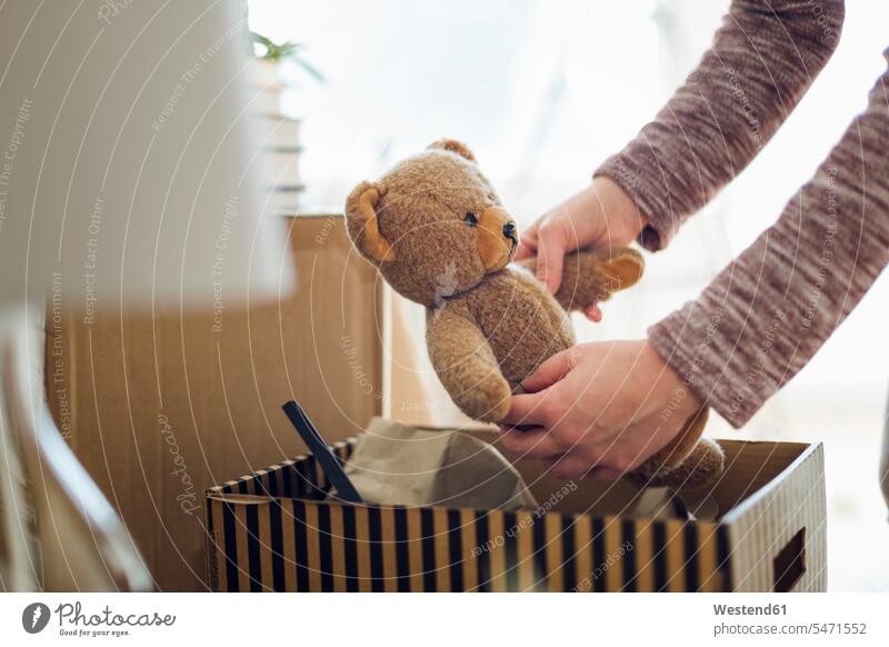 Nahaufnahme einer Frau, die in ihrem neuen Zuhause einen Karton auspackt und einen Teddybär herausnimmt Leute Menschen People Person Personen Europäisch