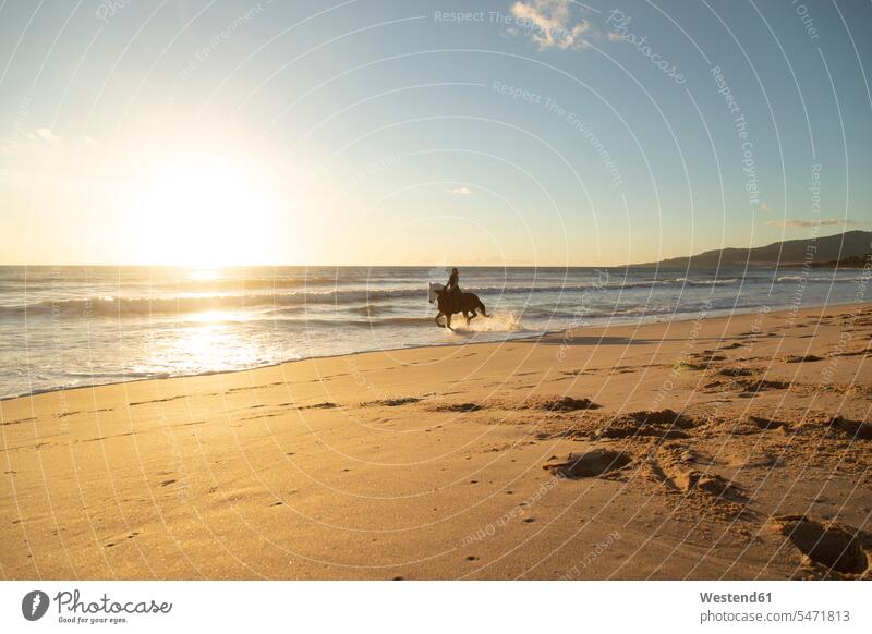 Spanien, Tarifa, Frau reitet Pferd am Strand bei Sonnenuntergang Equus caballus Pferde weiblich Frauen Sonnenuntergänge reiten Beach Straende Strände Beaches