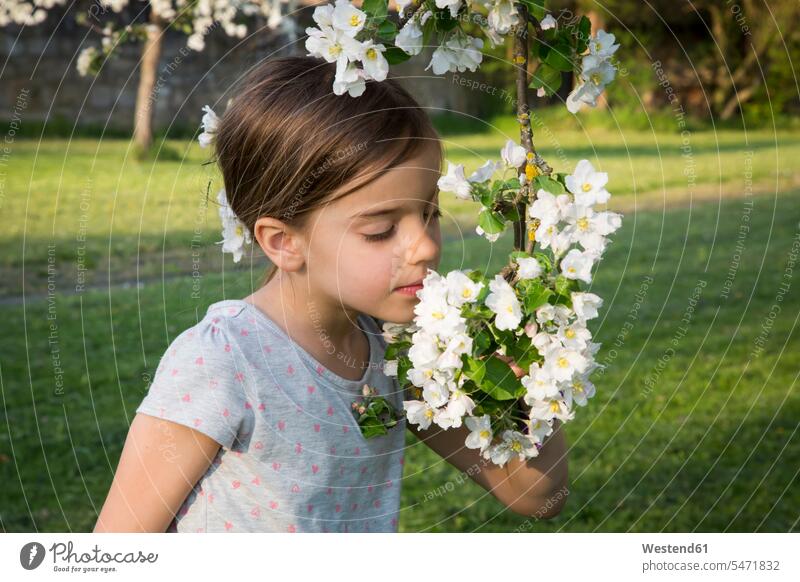 Kleines Mädchen riecht Apfelblüte Apfelblüten Apfelblueten weiblich riechen Kind Kinder Kids Mensch Menschen Leute People Personen blühender Baum blühende Bäume