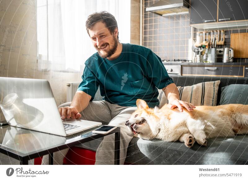 Porträt eines lächelnden Mannes, der zu Hause auf der Couch sitzt und seinen Laptop benutzt Tiere Tierwelt Haustiere Hunde Couches Liege Sofas Rechner Laptops