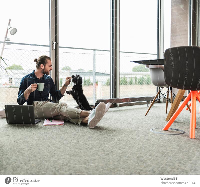 Junger Geschäftsmann mit Laptop sitzt auf dem Boden im Büro spielen mit Hund Hunde sitzen sitzend Businessmann Businessmänner Geschäftsmänner Office Büros