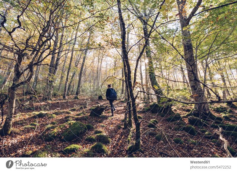 Spanien, Navarra, Irati Wald, junge Frau zu Fuß in üppigen Wald Forst Wälder gehen gehend geht weiblich Frauen üppig bewachsen saftig Erwachsener erwachsen
