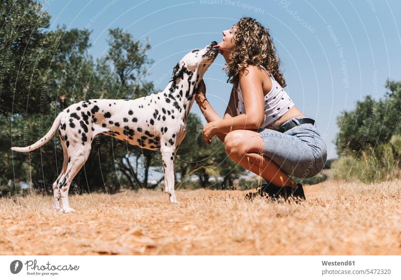 Hund leckt das Gesicht einer jungen Frau, die an einem sonnigen Tag auf dem Feld kauert Farbaufnahme Farbe Farbfoto Farbphoto Haustierbesitzer Tierbesitzer