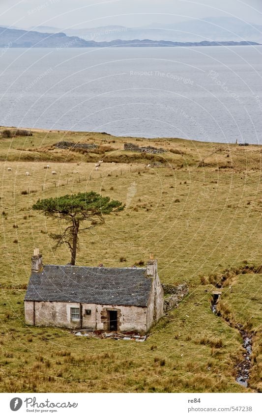 Vom Netz getrennt. Wohnung Haus Umwelt Natur Horizont Frühling Fjord Schottland Menschenleer blau grün türkis ruhig Einsamkeit Farbfoto Außenaufnahme