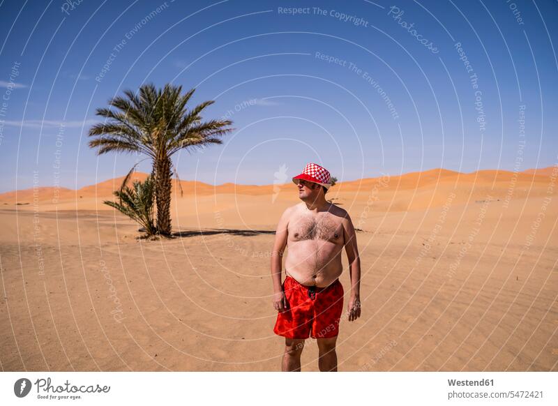 Übergewichtiger Mann mit Badeshorts und Hut steht in der Wüste von Marokko (value=0) Touristen hilflos Hilflosigkeit Badebekleidung Badehosen Hüte Jahreszeiten