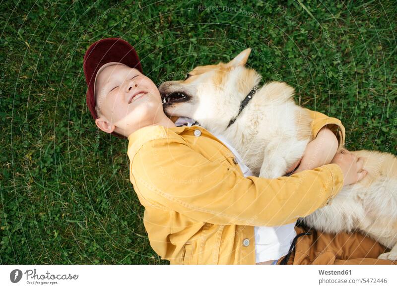 Junge mit walisischem Corgi Pembroke auf der Wiese liegend Tiere Tierwelt Haustiere Hunde knuddeln schmusen Arm umlegen Umarmung Umarmungen freuen Frohsinn