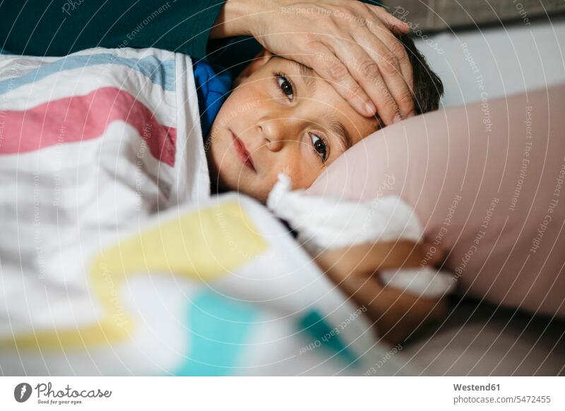 Porträt eines kranken Jungen, der im Bett liegt, während seine Mutter seine Stirn berührt Leute Menschen People Person Personen Familien Mama Mamas Mami Mamis