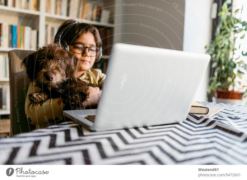 Junge hält Haushund während E-Learning über Laptop zu Hause Farbaufnahme Farbe Farbfoto Farbphoto 8-9 Jahre 8 bis 9 Jahre Kinder Kid Kids Kiddies Mensch