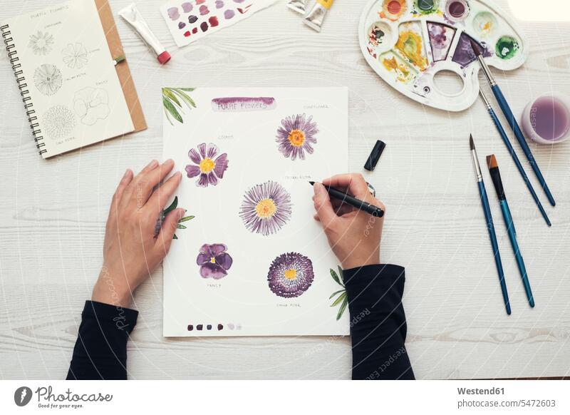 Frau malt Blumen mit Wasserfarben, Draufsicht Papiere Stifte Farben Farbtoene Farbton Farbtöne lilafarben violett Muße Eingebung Ideen Kreativ Aktivitaet