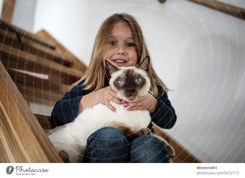 Kleines Mädchen sitzt auf der Treppe mit ihrer Siamkatze zu Hause Zuhause daheim Katze Katzen Treppenaufgang sitzen sitzend weiblich Haustier Haustiere Tier