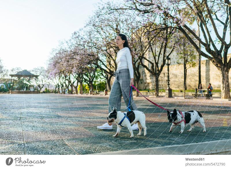 Spanien, Andalusien, Jerez de la Frontera, Frau geht mit zwei Hunden auf dem Platz weiblich Frauen tierlieb Tierliebe Tierfreund tierfreundlich Tierfreundschaft