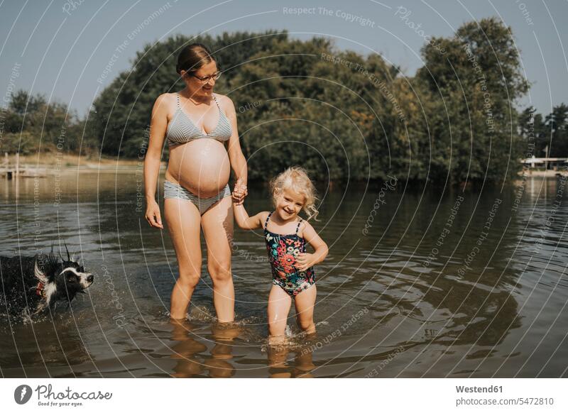 Niederlande, Schiermonnikoog, schwangere Mutter mit Tochter und Border Collie in einem See Seen Töchter Schwangere schwangere Frau Hund Hunde Mami Mutti Mütter