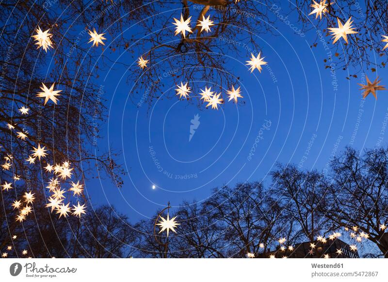 Mit sternförmigen Weihnachtslichtern geschmückte Baumzweige, die nachts im Freien leuchten Außenaufnahme außen draußen Flachwinkelansicht Froschperspektive