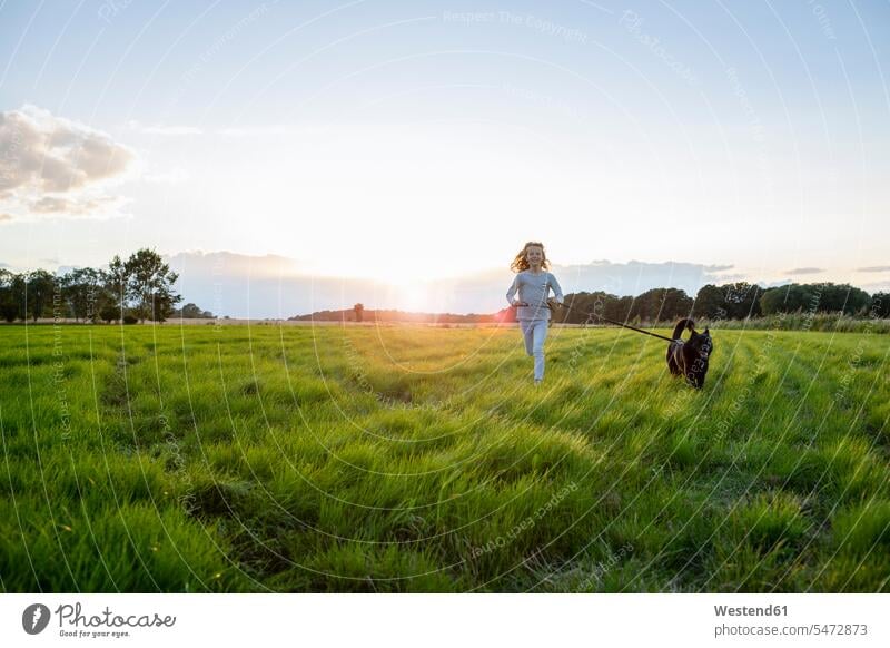 Mädchen mit Hund läuft über ein Feld bei Sonnenuntergang Felder Sonnenuntergänge Hunde laufen rennen weiblich Stimmung stimmungsvoll Atmosphäre Haustier