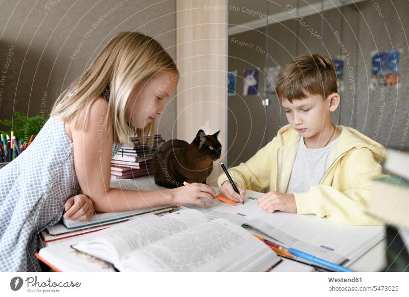 Bruder und Schwester mit einer Katze, die zu Hause am Tisch sitzen und gemeinsam Hausaufgaben machen Ausbildung Schueler Schulkinder Schüler Tiere Tierwelt