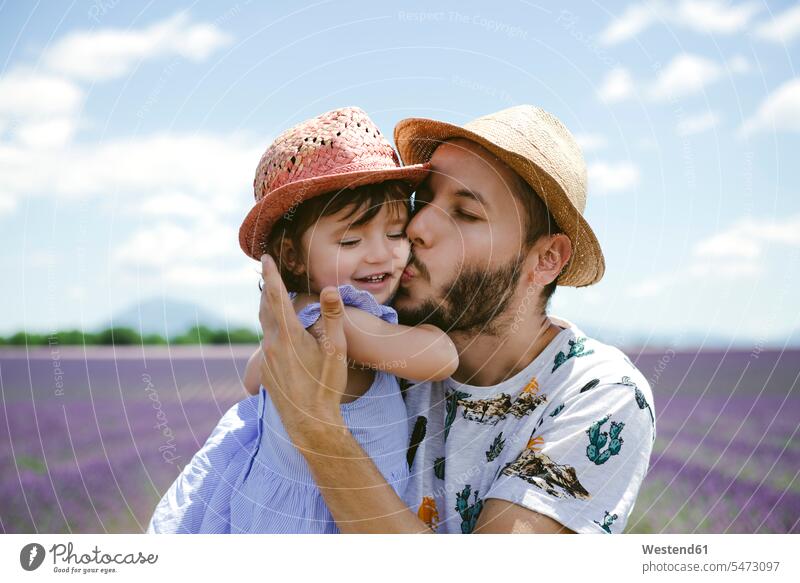 Frankreich, Provence, Hochebene von Valensole, Vater küsst Tochter im Sommer auf Lavendelfeldern Sommerzeit sommerlich Lavandula tragen transportieren Papas