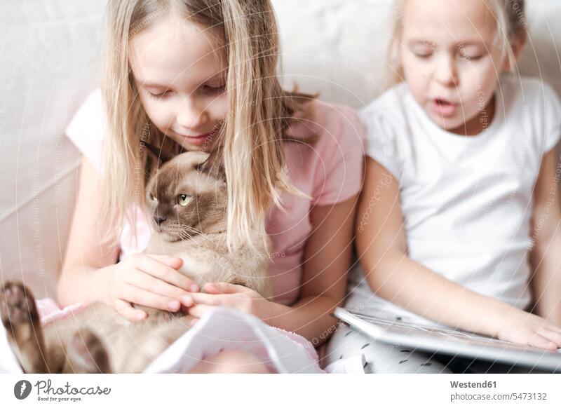 Lächelndes kleines Mädchen streichelt burmesische Katze, während ihre Schwester ein Buch liest Freunde Kameradschaft Freundin Tiere Tierwelt Haustiere Katzen