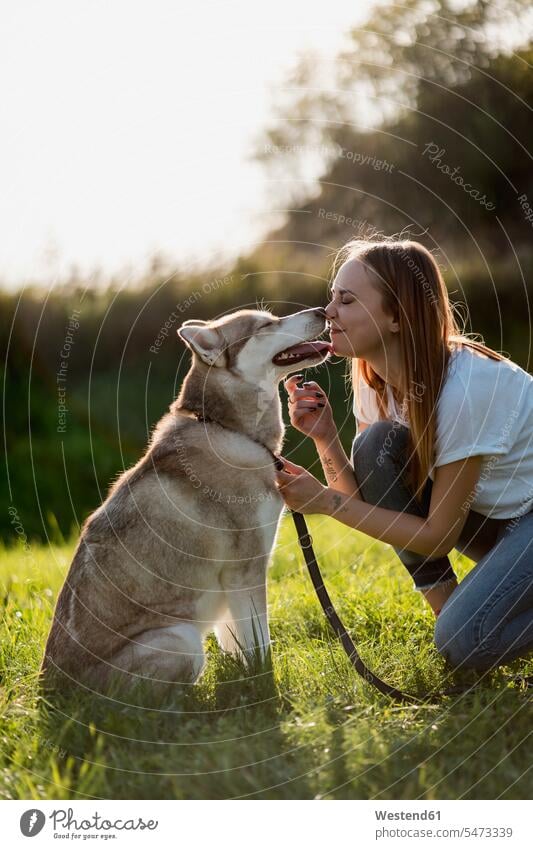Junge Frau Nase an Nase mit ihrem Hund auf einer Wiese Tiere Tierwelt Haustiere Hunde T-Shirts knuddeln schmusen abends Jahreszeiten sommerlich Sommerzeit innig