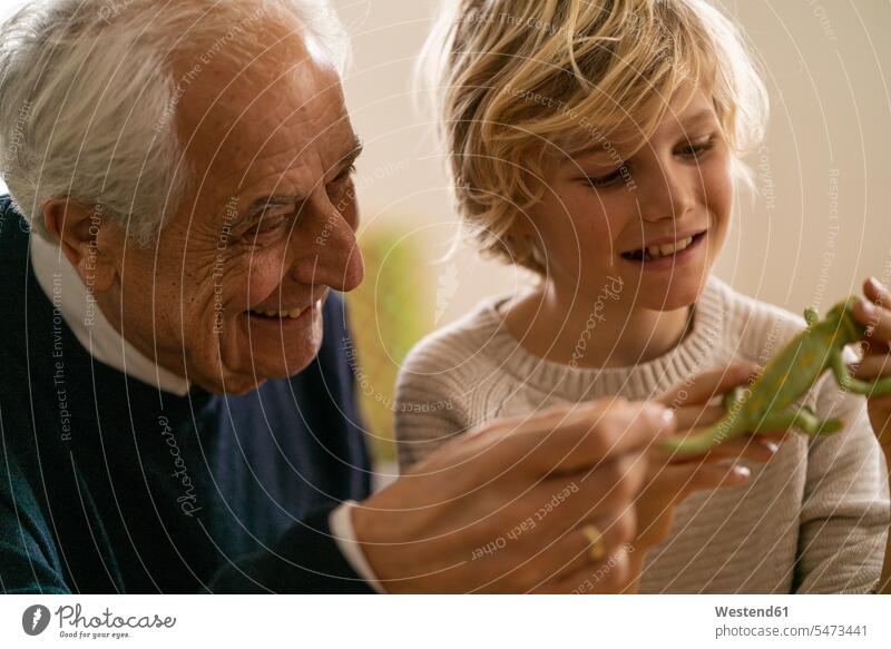 Glücklicher Großvater und Enkel spielen mit Spielzeug-Chamäleon Generation Tiere Tierwelt Chamaeleon Chamaeleons Chamäleons freuen Frohsinn Fröhlichkeit